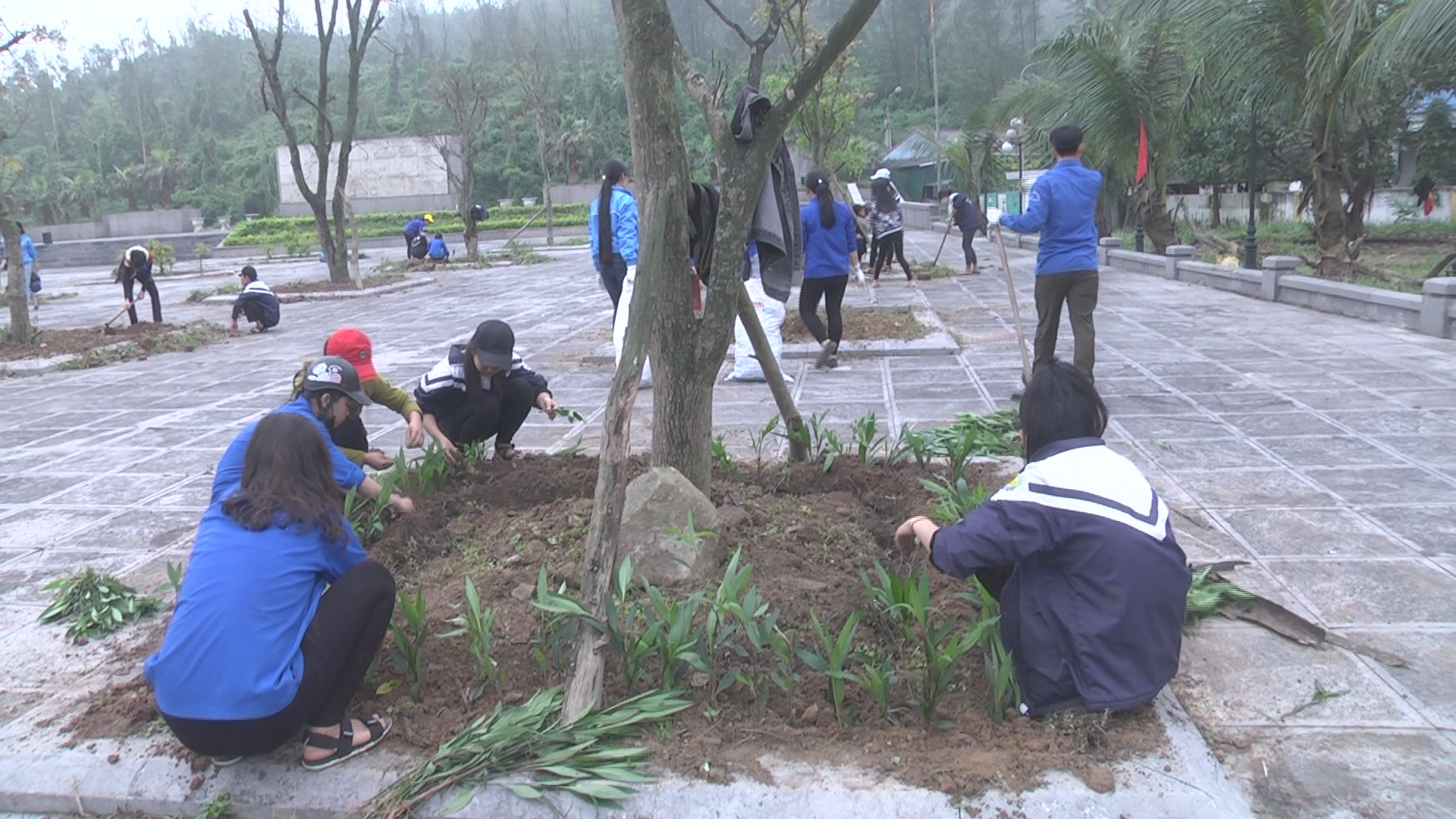 Chương trình “Chăm sóc cây xanh và trồng thảm hoa” tại khu du lịch biển Thiên Cầm