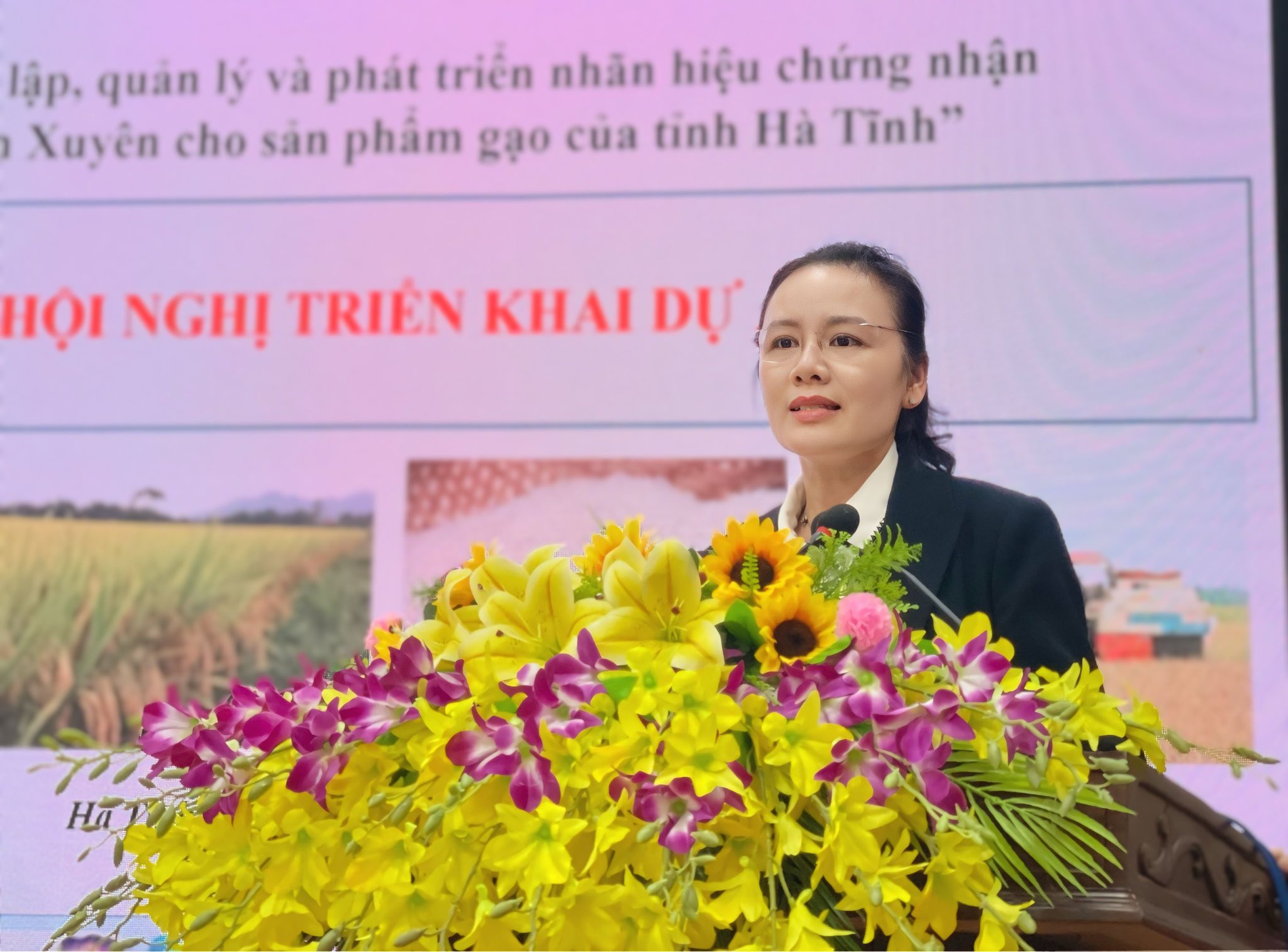 Khởi động dự án xây dựng thương hiệu Gạo Cẩm Xuyên – Bước tiến mới cho nông sản Hà Tĩnh