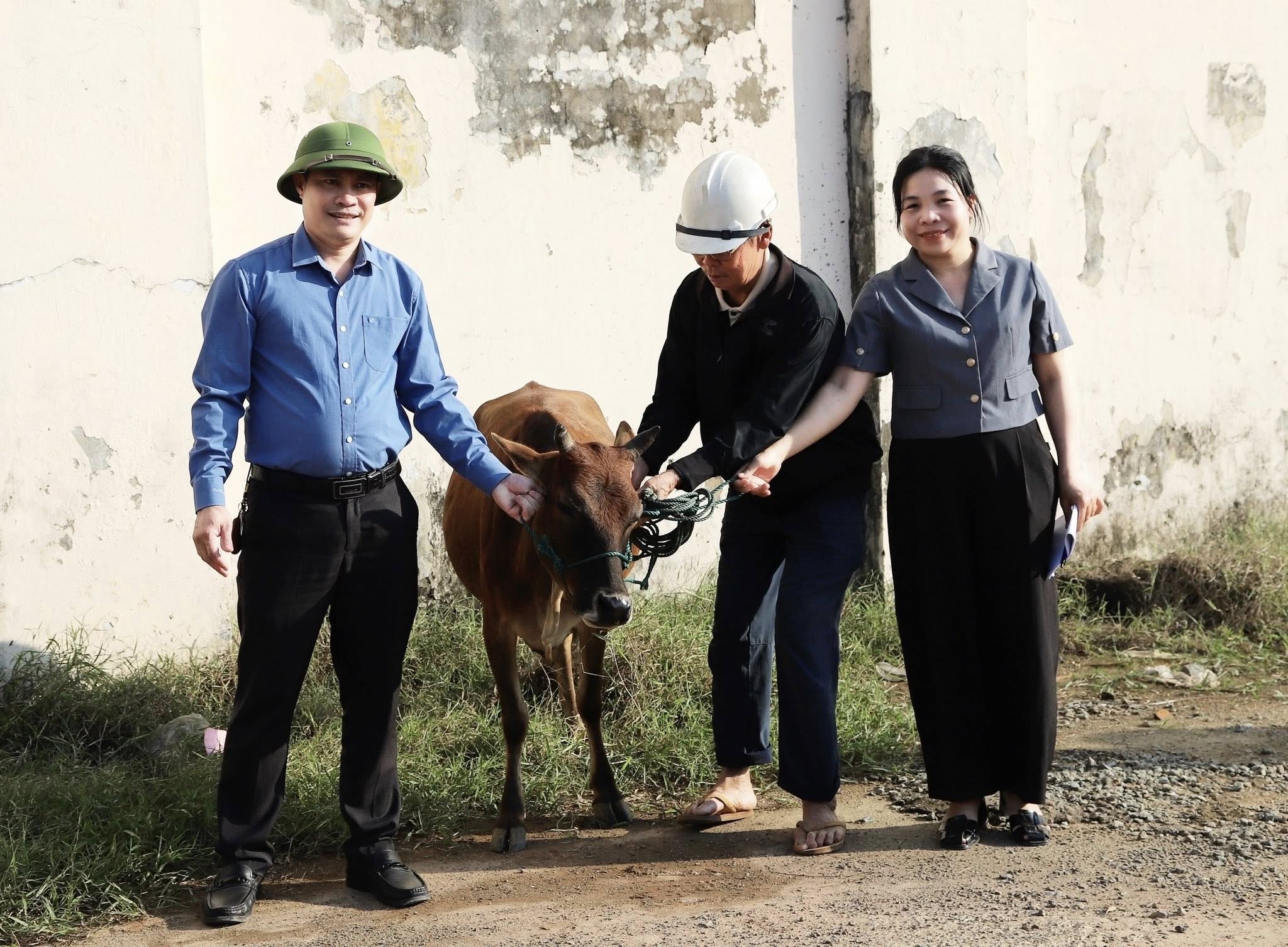Cẩm Xuyên tổ chức lễ bàn giao “Mô hình chăn nuôi bò” thuộc chương trình MTQG giảm nghèo bền vững năm 2025.