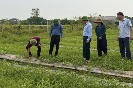 Lãnh đạo xã Cẩm Xuyên kiểm tra các mô hình kinh tế, nắm bắt tình hình sản xuất trên địa bàn