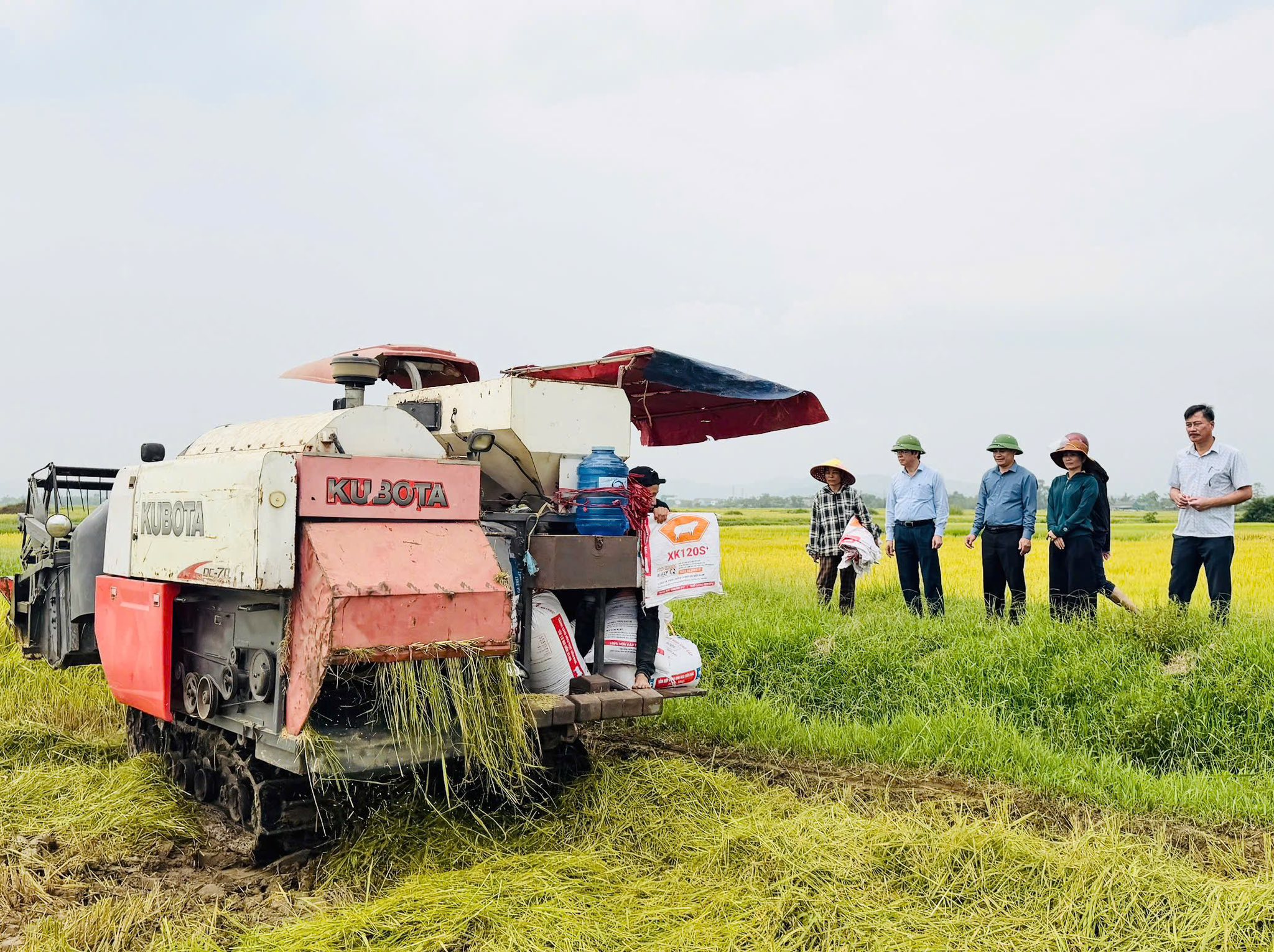 Lãnh đạo xã Cẩm Xuyên kiểm tra các mô hình kinh tế, nắm bắt tình hình sản xuất trên địa bàn