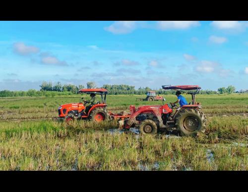 Xã Cẩm Hưng, huyện Cẩm Xuyên thực hiện phá bỏ bờ thửa nhỏ thành cánh đồng lớn.